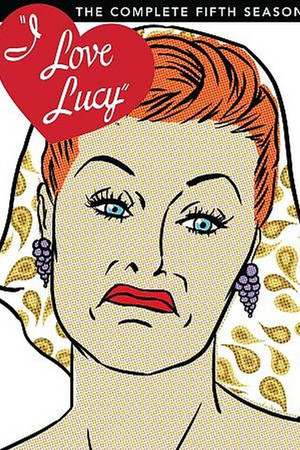 我爱露西 第五季