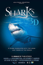 鲨鱼 3D
