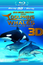 海豚和鲸鱼 3D