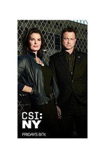 犯罪现场调查：纽约 第九季