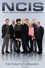 海军罪案调查处 第十二季