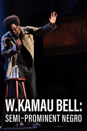 W. Kamau Bell: Semi-Promenint Negro