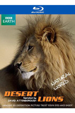 自然世界：沙漠狮