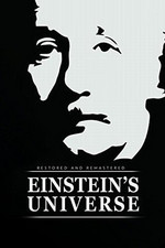 爱因斯坦的宇宙