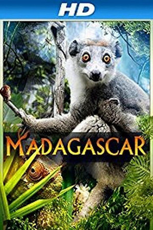 马达加斯加 3D