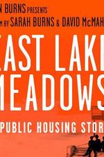 东湖草地：一个关于公共住房的故事