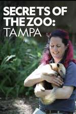 动物园秘辛：坦帕湾 第一季