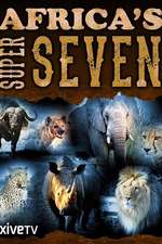 非洲七猛兽