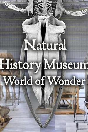 英国自然历史博物馆：神奇世界 第一季