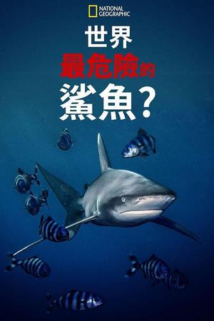 世上最危险的鲨鱼？