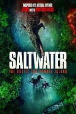 Saltwater.The.Battle.for.Ramree.Island