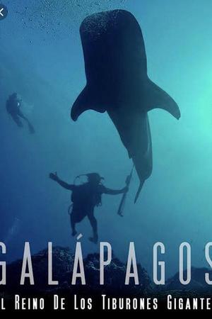 加拉帕戈斯群岛：巨大鲨鱼王国