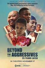 Beyond the Aggressives: 25 Years Later